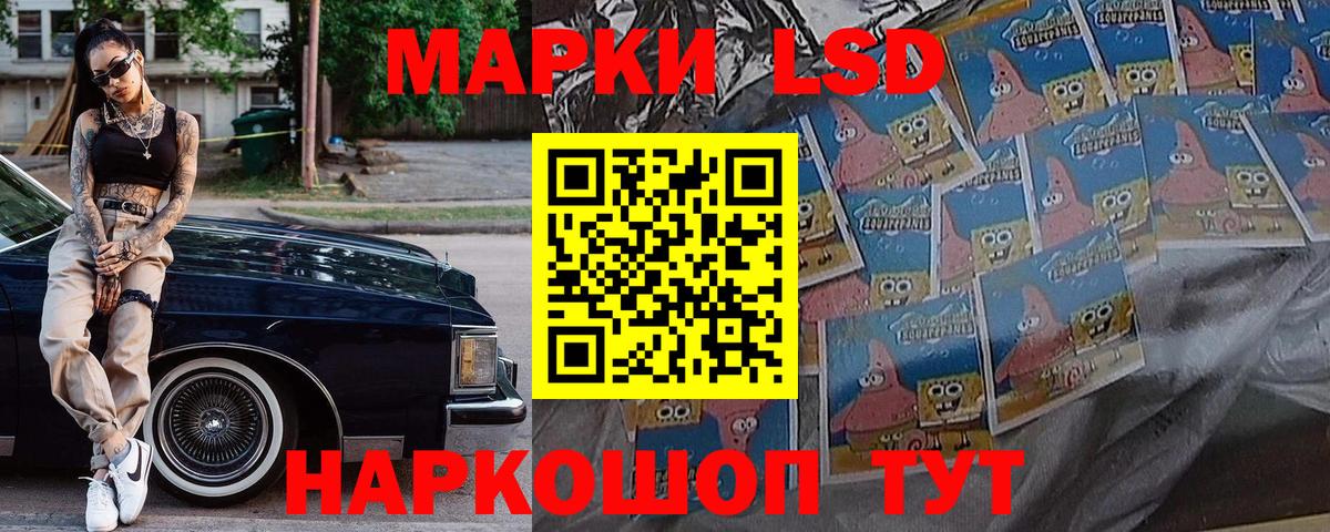 Наркотические марки 1,5мг  Наркотические марки 1,5мг  Елизово  Вход с VPN 