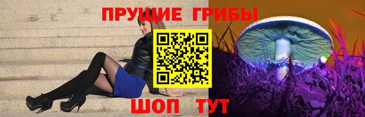 дарнет шоп  Псилоцибиновые грибы Cubensis  Вход с VPN  Елизово 